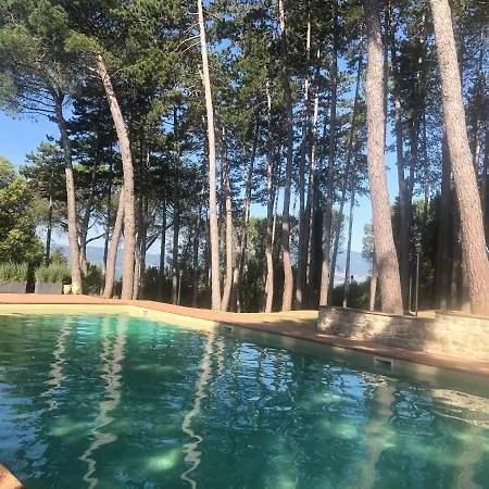 Baron's With Pool And Park